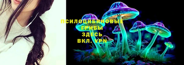 меф Гусев